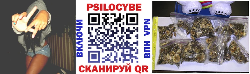 Псилоцибиновые грибы прущие грибы  Верхняя Пышма 